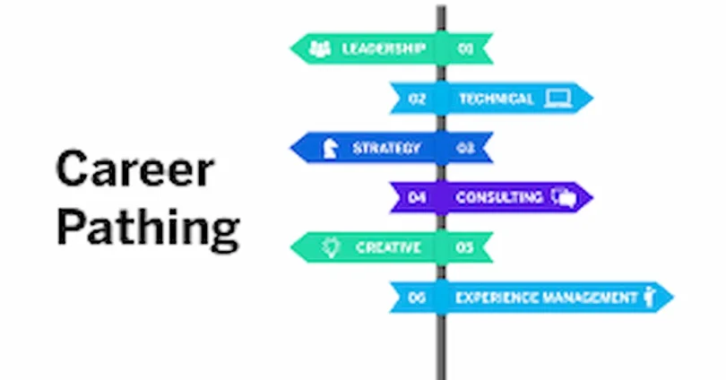 what is a career path